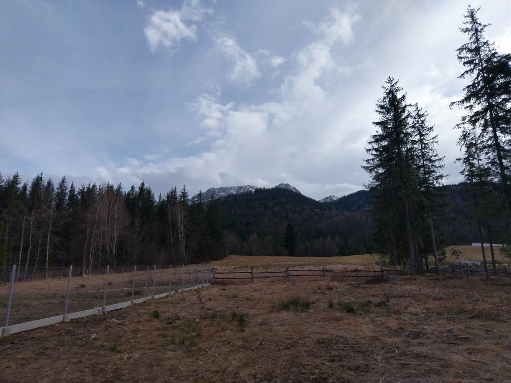 Appartamento Apartamencik Z Widokiem Na Giewont Zakopane Esterno foto