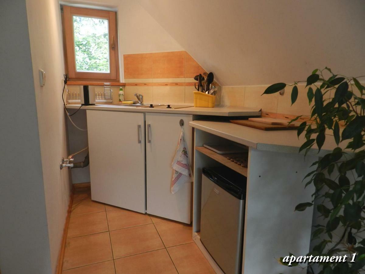 Apartamencik Z Widokiem Na Giewont Zakopane Esterno foto